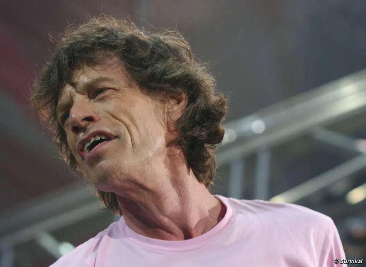 Mick Jagger wurde vergangenes Jahr der Ehrentitel Umwelt-Botschafter Perus verliehen. © Survival