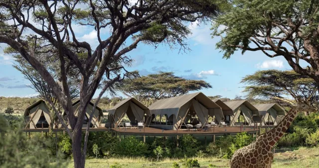 Bild: Neue Safari-Erlebnisse mit Great Plains
