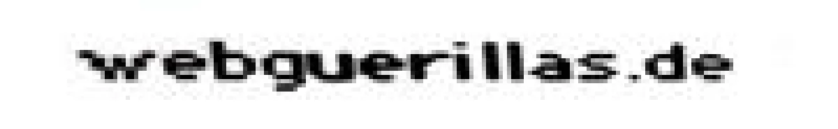 2010: Rekordjahr für webguerillas