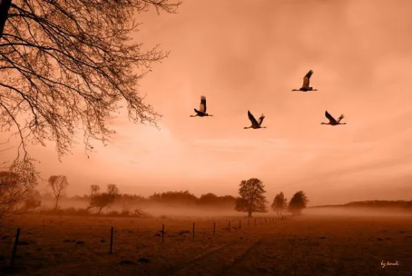 Sehnsucht Deutschland – Bilderreise durch ein Land voller Vielfalt Bild: Sehnsucht Deutschland – Bilderreise durch ein Land voller Vielfalt