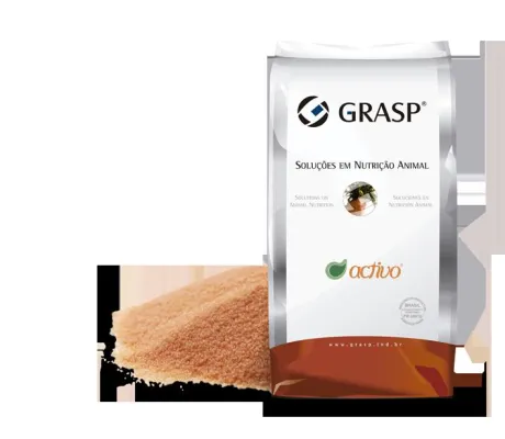 Bild: EW Nutrition: Fokus auf Futterverwertung, Darmgesundheit und Antibiotika Reduktion