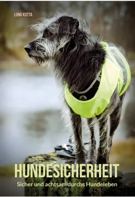 Bild: Neuer Ratgeber „Hundesicherheit – sicher und achtsam durchs Hundeleben“