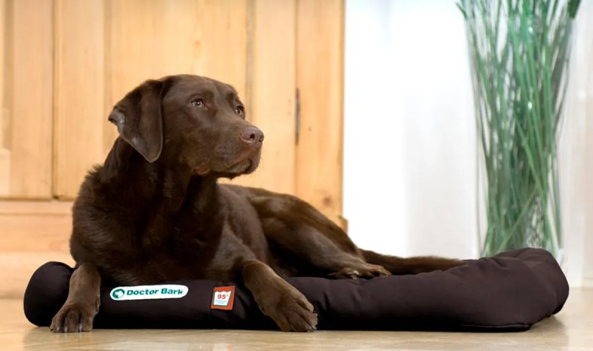 Doctor Bark: medizinische Reinheit für Mensch und Tier