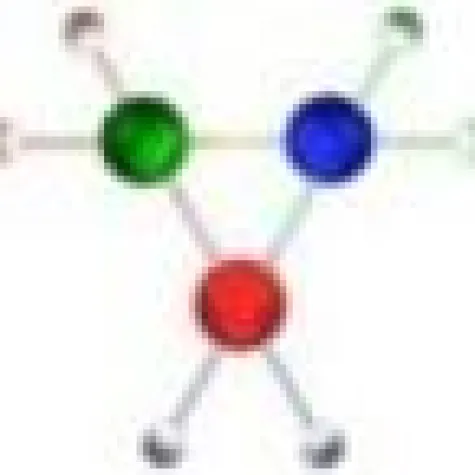 Bild: International Network Conference 2010 (INC2010) in Heidelberg vom 6-8 Juli 2010