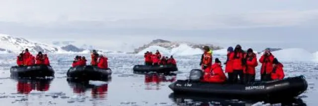 Bild: Poseidon Expeditions hat das Datum der ersten diesjährigen Reise zu Eisbären schon festgelegt
