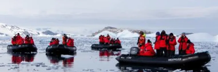 Poseidon Expeditions hat das Datum der ersten diesjährigen Reise zu Eisbären schon festgelegt Bild: Poseidon Expeditions hat das Datum der ersten diesjährigen Reise zu Eisbären schon festgelegt