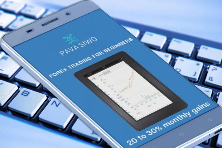 Bild: PavaSiwo stellt seine Forex EA Software für Anfänger vor