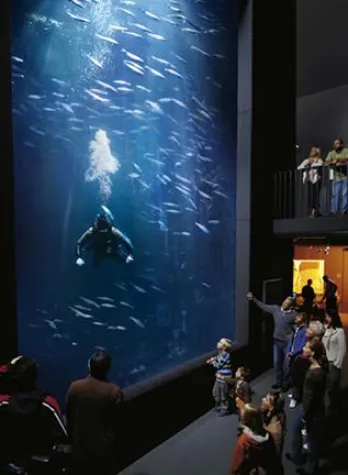 Bild: Müritzeum bereitet die Saison 2008 vor