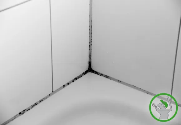 Silikonfugen - aus unansehnlich mach neu Bild: Silikonfugen - aus unansehnlich mach neu