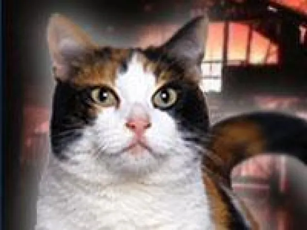 Bild: "Mietzi" ist ein Held