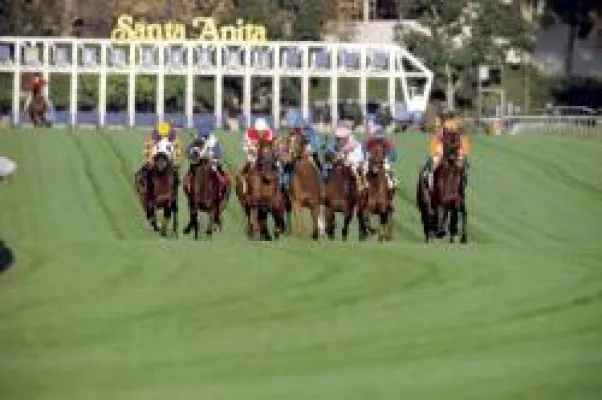 Bild: Breeders Cup 2008 Vorschau - 3 Millionen Dollar Jackpot und 1500 Euro Gewinnspiel