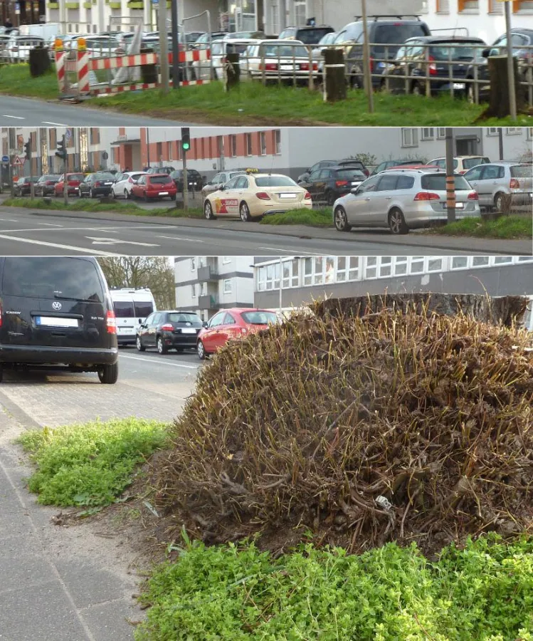 Bildtext siehe unten. Foto: A. Wulf