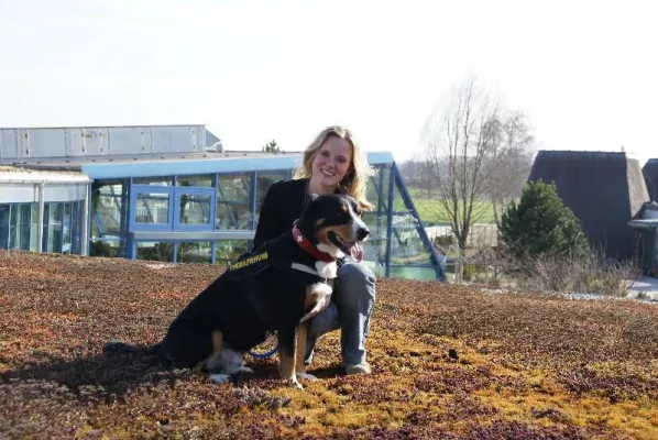 Bild: Rehazentrum in der Therme Erding bietet Ergotherapie mit Hund als Co-Therapeut an