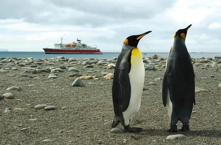 Bild: Kreuzfahrtmagazin mit Sondersendung zur Antarktis