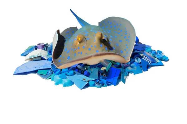 Bild: Vernissage im Rahmen der Eröffnung des Nachhaltigkeits- und Gesundheitstages