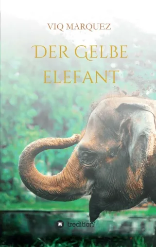 DER GELBE ELEFANT - Ein gelungener Debütroman mit spirituellen Elementen Bild: DER GELBE ELEFANT - Ein gelungener Debütroman mit spirituellen Elementen