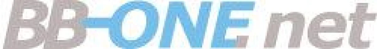 Internetpartner der Wirtschaft