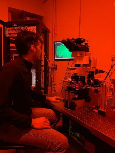 Infrarot sehen mit organischen Elektroden Bild: Infrarot sehen mit organischen Elektroden