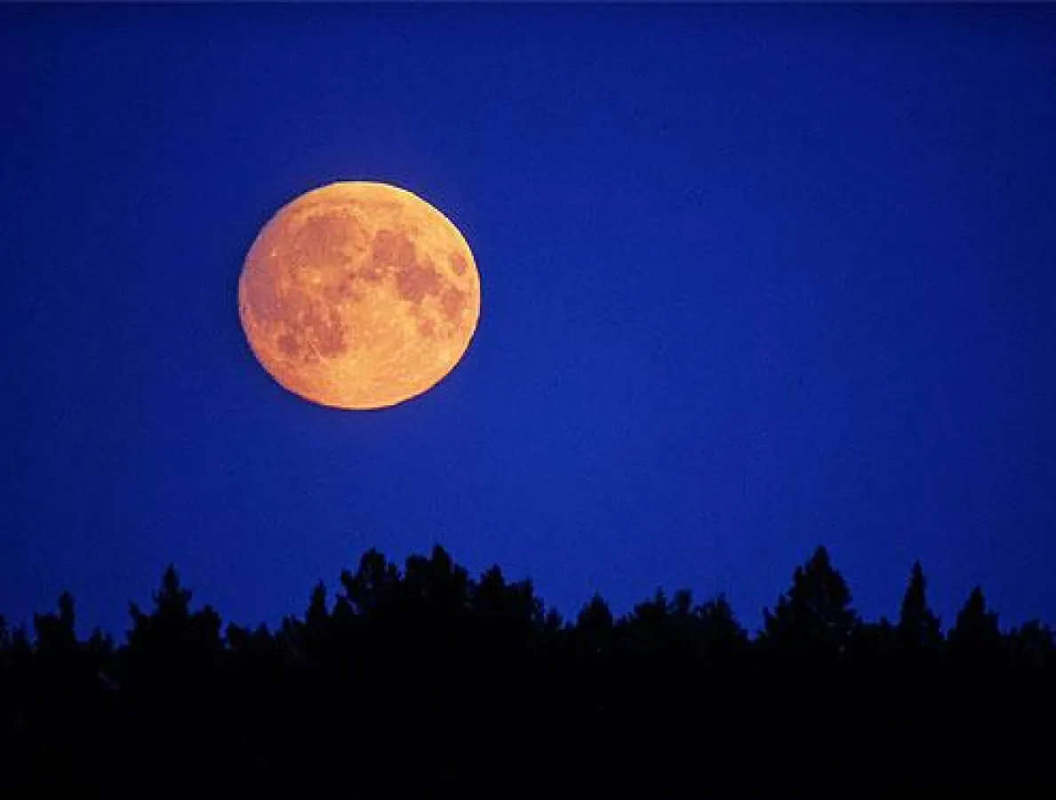 Magische Momente bei einer Vollmond-Weinprobe erleben. Foto: ©Istockphoto