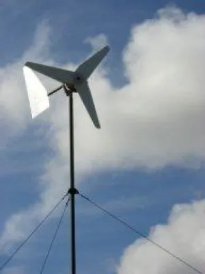 Bild: Windkraft-Kleinunternehmer für Afrika: Zwei Münchner unterrichten in Kamerun den Bau von Windrädern