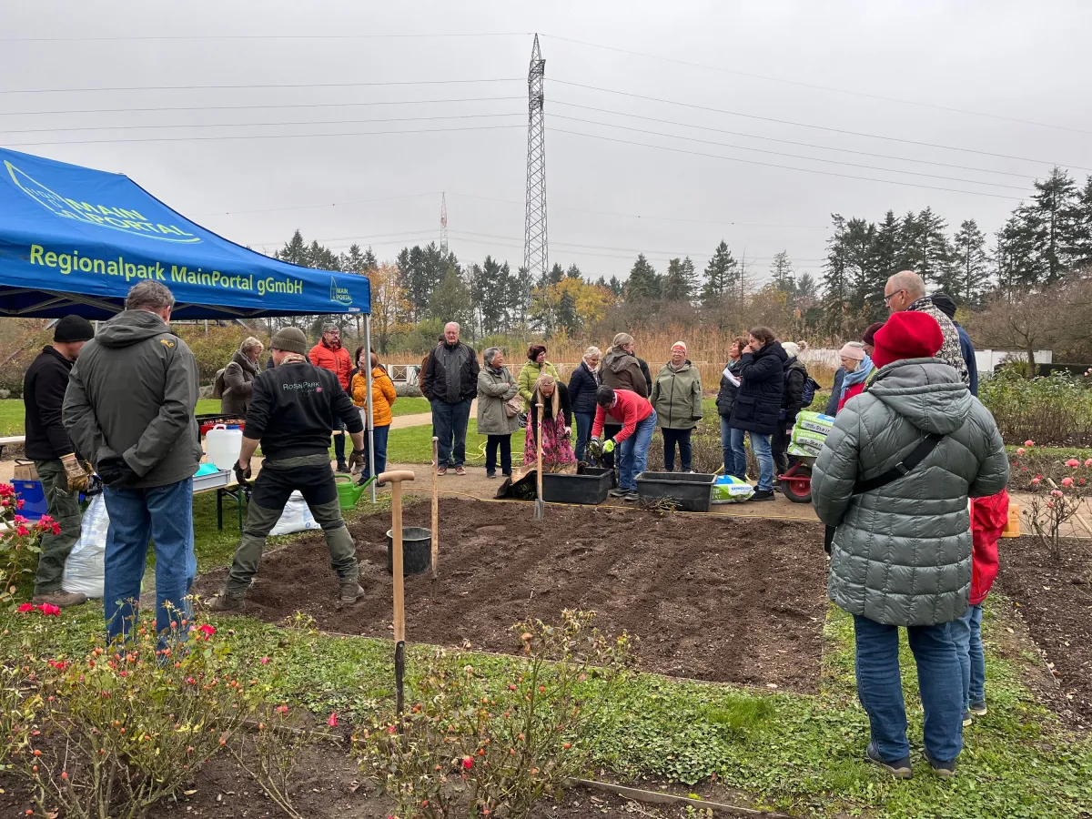 Gemeinschaftsaktion von Regionalpark MainPortal, RosenPark Dräger & Rosenkönigin Theresa Hildebrandt (© RosenPark Dräger)