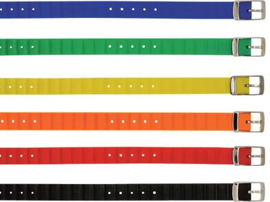 Farbenfroher Badespaß Bild: Farbenfroher Badespaß