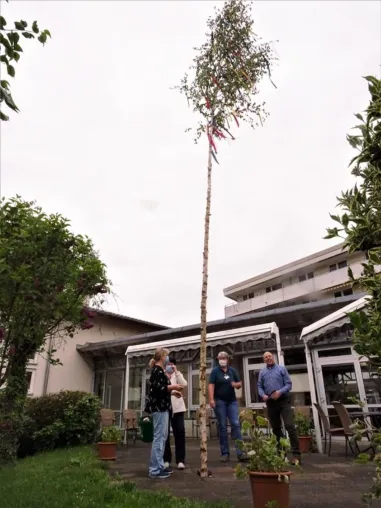 Ein Maibaum für das Adolf-Gröber-Haus Bild: Ein Maibaum für das Adolf-Gröber-Haus