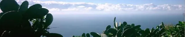 Silvester unterm Sternenzelt - Jahreswechsel auf La Palma Bild: Silvester unterm Sternenzelt - Jahreswechsel auf La Palma