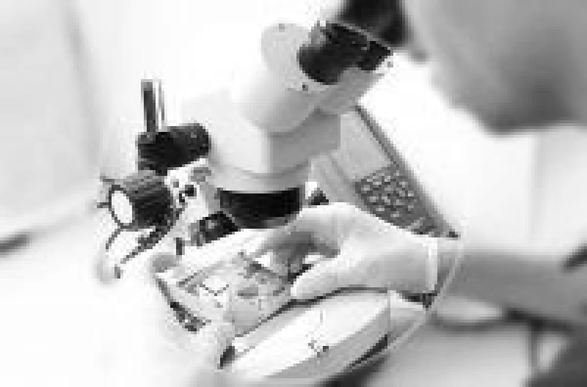 Diagnose von Datenträger, RecoveryLab