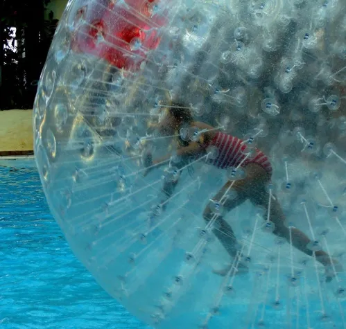 Bild: Eben noch auf der Wiese, jetzt die neue Schwimmbad-Attraktion