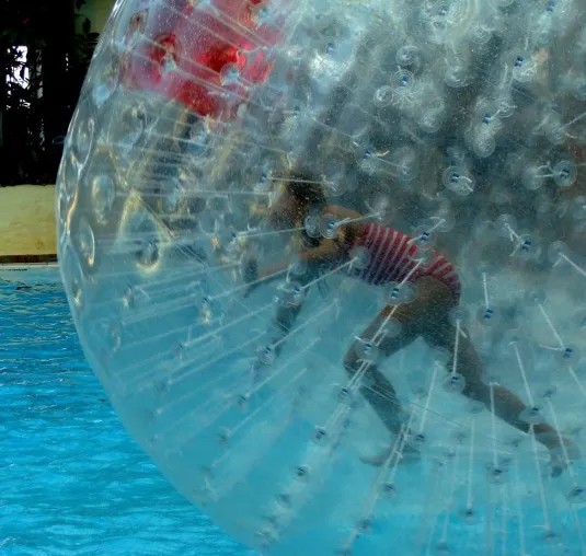 Bild: Eben noch auf der Wiese, jetzt die neue Schwimmbad-Attraktion