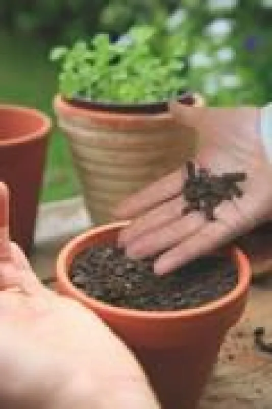 Bild: Fotolia