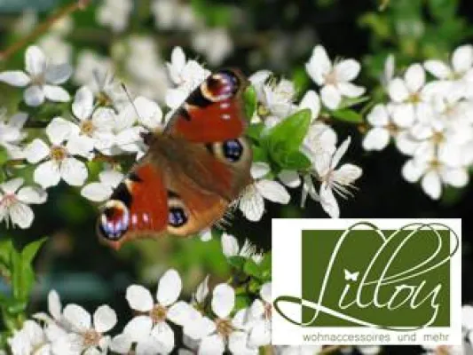 Lillou.de: Wohnaccessoires für romantische Individualisten Bild: Lillou.de: Wohnaccessoires für romantische Individualisten
