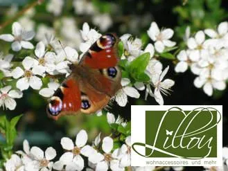 Bild: Lillou.de: Wohnaccessoires für romantische Individualisten