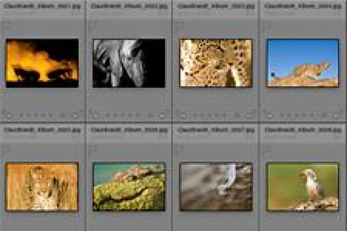Aufbau-Seminar Lightroom 2.0