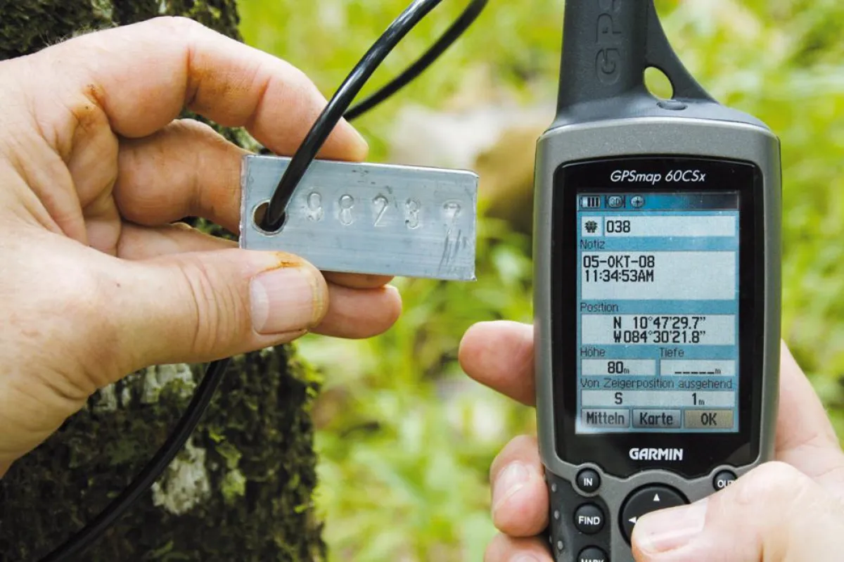 Jeder einzelne Teakholz-Baum wird erfasst und per GPS kartografiert.