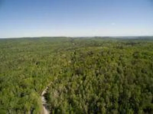 Bild: Elektromobilität bald auch in der Luft