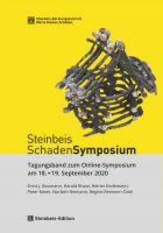 Bild: Steinbeis SchadenSymposium 2020 - Sachschäden und Versicherungswertermittlungen