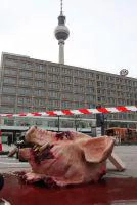 Bild: Pressetermin: Berlin-Charlottenburg wird zum Tatort - Tierschützer untersuchen Opfer der Massentierhaltu