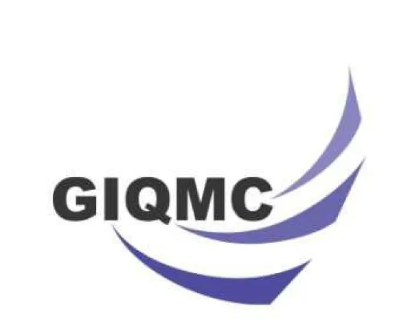 Bild: 10th German Information Quality: 10 Jahre IQM - Sturm im Wasserglas?