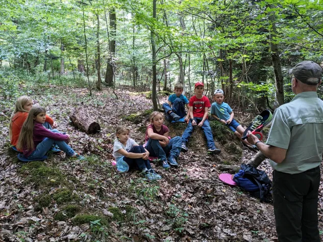 Die Geheimnisse des Waldes entdecken Bild: Die Geheimnisse des Waldes entdecken