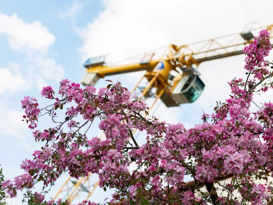 Bild: Schultheiß Projektentwicklung AG kauft Grundstück in Nürnberg-Röthenbach