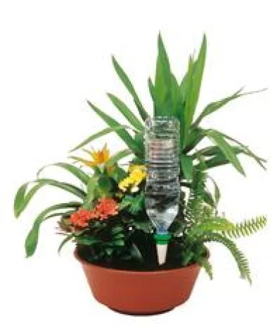 Bild: Auch bei längerem Urlaub - Pflanzen gießen leicht gemacht