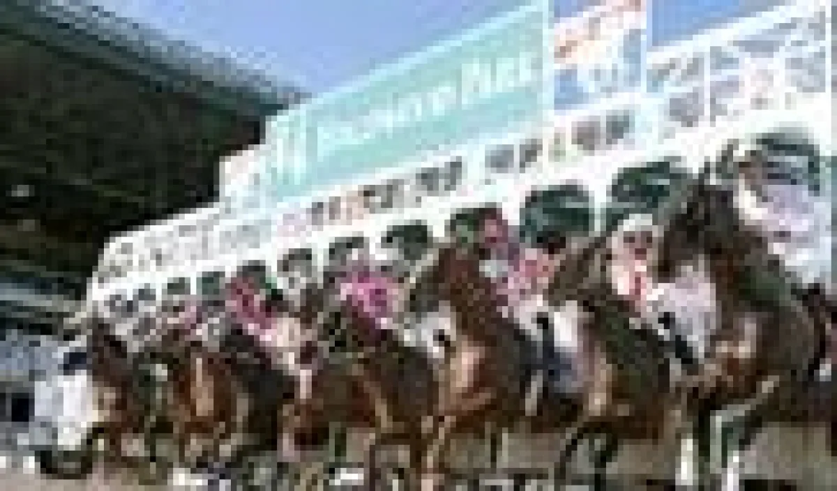 Hollywood Park - Gruppe 1 Rennen der 2-jährigen Galopper