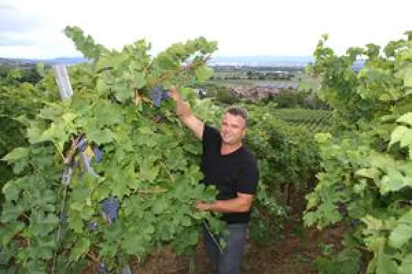 Die Würfel sind gefallen: Bild: Die Würfel sind gefallen: