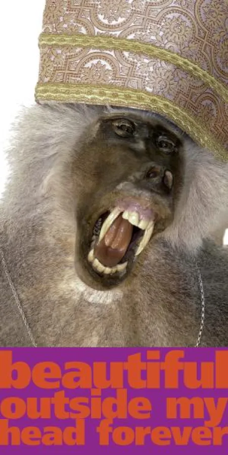 Tom Schmelzer, Homo Bulla, Installation, 2009