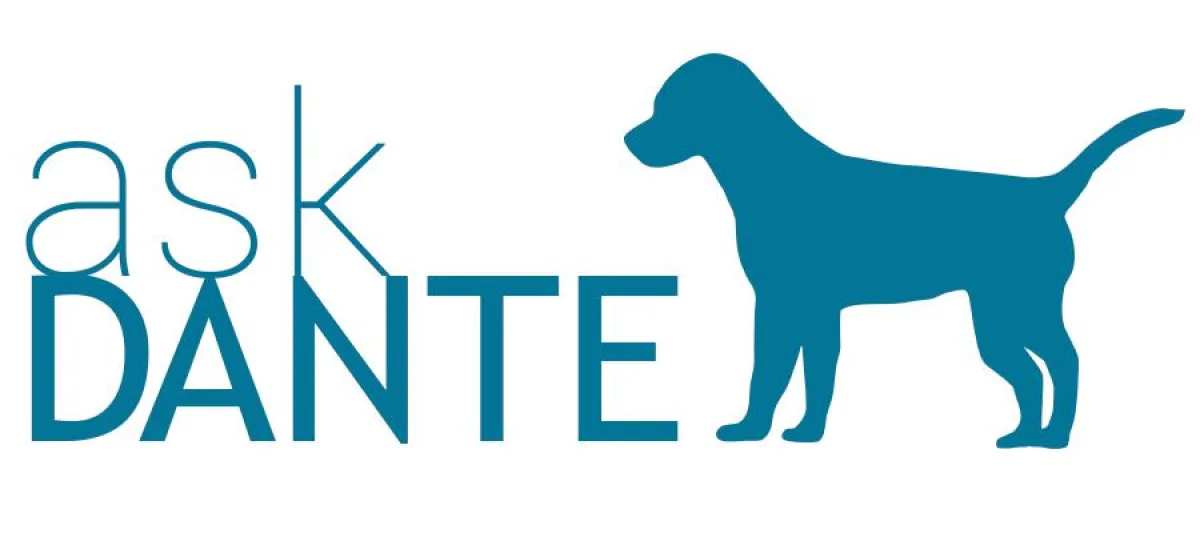 askDANTE Zeiterfassungssoftware