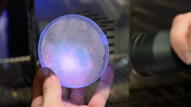 Bild:  Fraunhofer WKI im Wissenschaftsschaufenster: Die bunte Welt der Pilze 