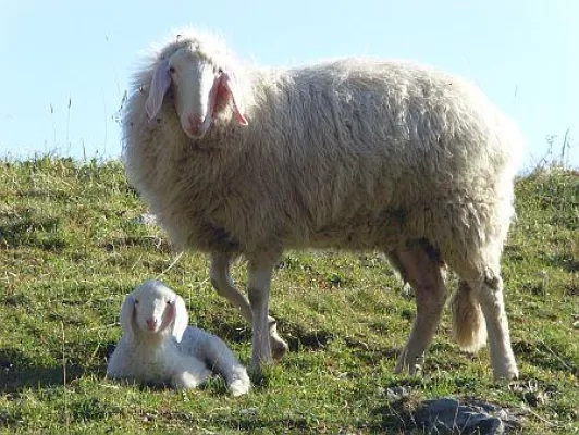 Klimaschutz geht uns alle an - Dantotec ist GREEN Bild: Klimaschutz geht uns alle an - Dantotec ist GREEN