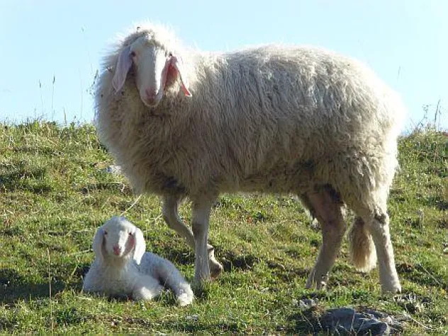 Bild: Klimaschutz geht uns alle an - Dantotec ist GREEN